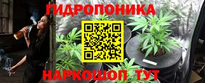 ешки Камышлов