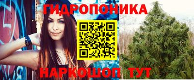 ешки Камышлов