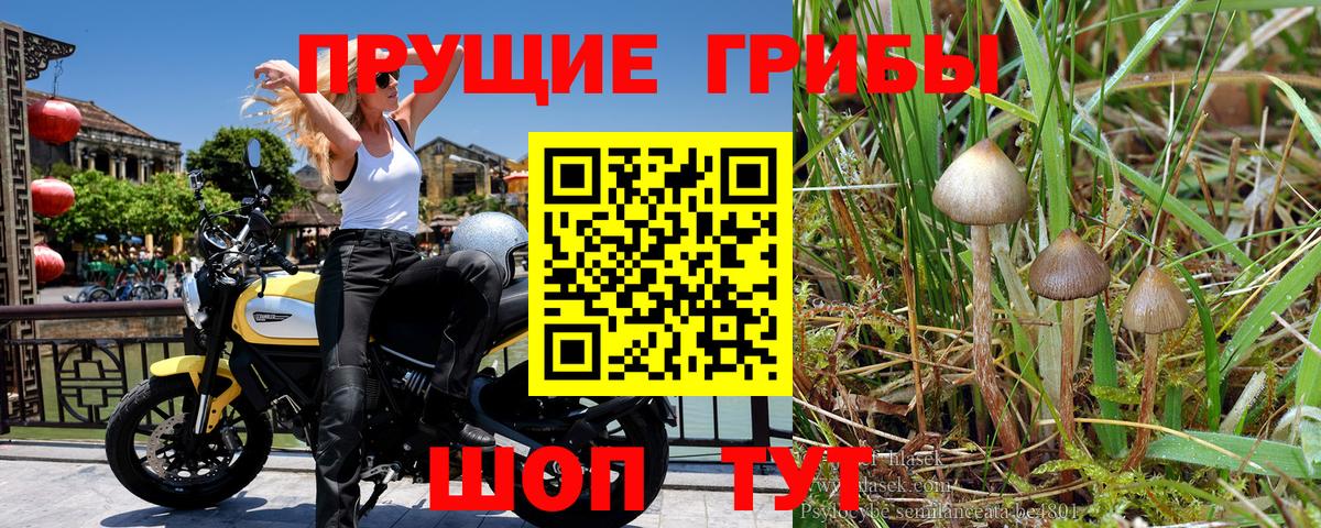купить   Галлюциногенные грибы мухоморы  Вход с VPN  Щёкино 